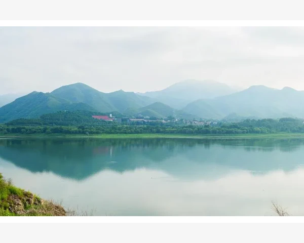 气血不足，吃什么水果最好？